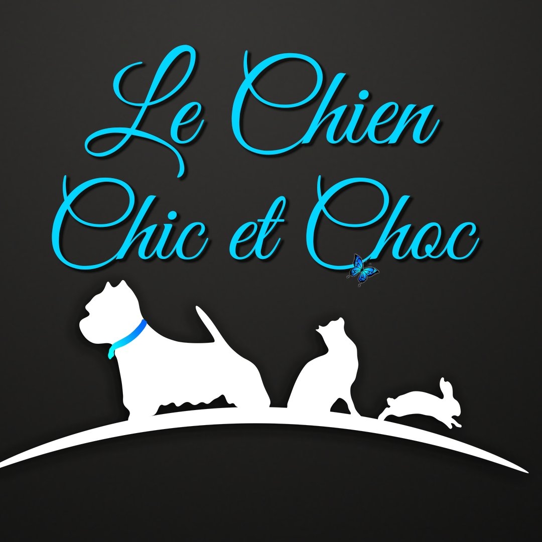Chien Chic et Choc